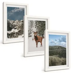 BILDER SET 3er Set - 20x30 cm Weißer Rahmen - Berge, Schnee, Hirsche, Waldlandschaft