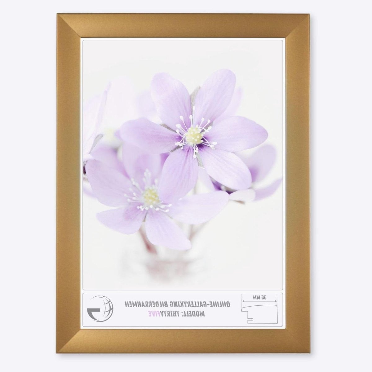 Handgemaakte Duitse fotolijst voor muurdecoratie - Goud - 60 x 150 cm