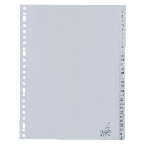 Prooffice Kunststoff-Register, Zahlen, A4, 31-teilig (100810131)