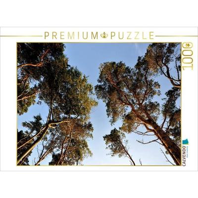 CALVENDO Puzzle Das Abendlicht bringt die Bäume zum Leuchten | 1000 Teile Lege-Größe 64x48cm Foto-Puzzle für glückliche Stunden