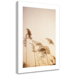 WANDBILD beigefarbenes schilf