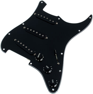 Fender PWPG 59 Strat RWRP BWB 3