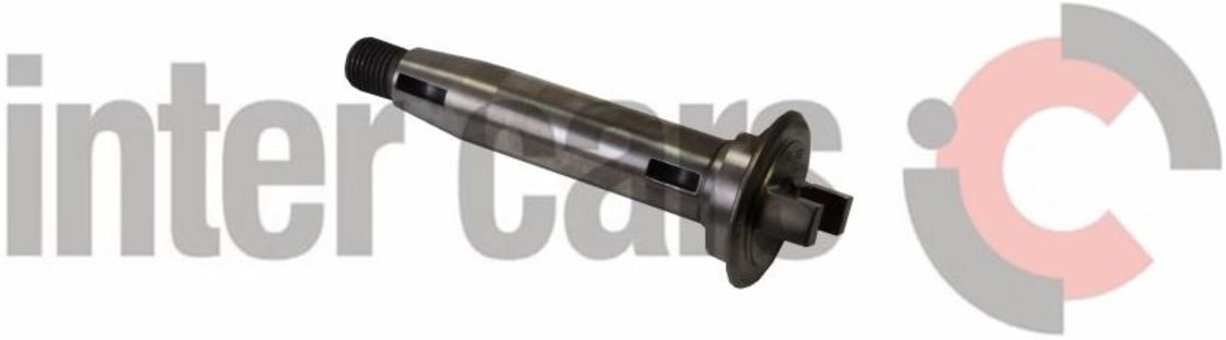 Element, Verteilerpumpe BOSCH 1 466 100 401