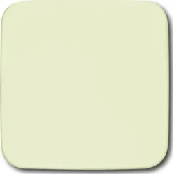 Busch-Jaeger Blindzentralscheibe weiß 54x54mm 1576 C-212