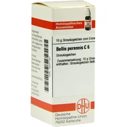 Bellis Perennis C 6 10 G