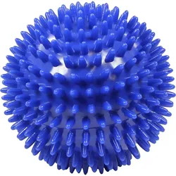 Massageigelball 10cm Blau 1 ST