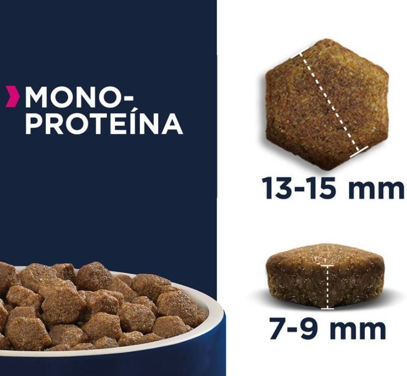 Eukanuba Adult Daily Care Monoproteico Salmón Fresco 2 x 12 kg