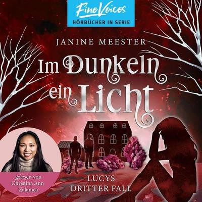 Im Dunkeln ein Licht - Janine Meester, Audio, 4066004703619