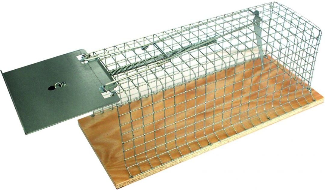 Swissinno Holz-Lebendfalle für Ratten