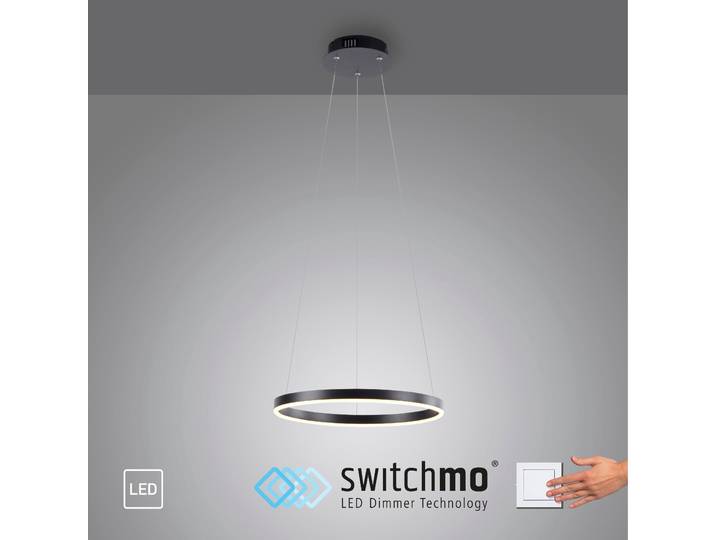 JUST LIGHT Pendelleuchte RITUS , grau (anthrazit), 1, Ø 3,9cm, 1 Stk., Leuchten, LED, dimmbar, Switchmo, Pendelleuchte