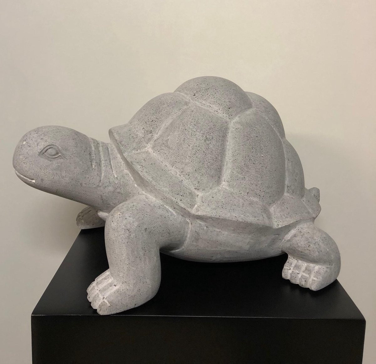 In & Out Deco Schildpad Decoratief Object in Betonlook