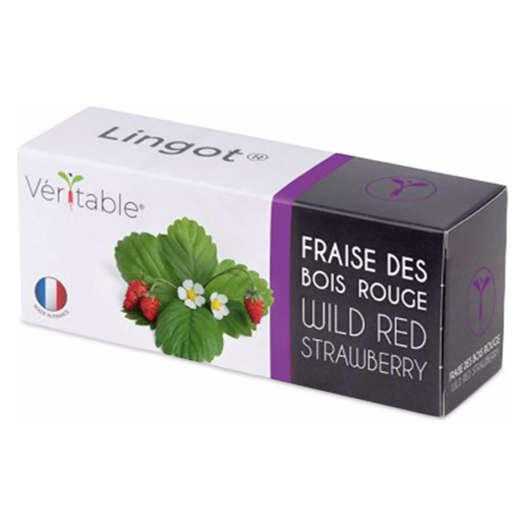 Véritable Lingot Waldbeere rot BIO (Früchtesamen) (3760262511368)