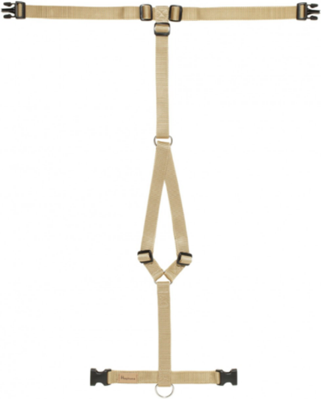 Haqihana Pettorina ad H Gold in Nylon per Cani XS