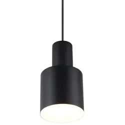 Trio T319400132 Pendelleuchte AGUDO  E27