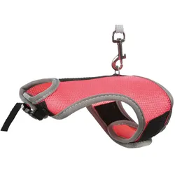 4x Trixie Softgeschirr mit Leine (One Size, Kleintier, Nager, Allgemein), Halsband + Leine