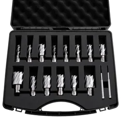 VEVOR HSS-Kernbohrer Weldon-Schaft 16-tlg. Magnetbohrer 11,11–34,92 mm Schnittdurchmesser, 14 Bohrer mit 2 Zentrierstiften, 25,4 mm Schnitttiefe, Kunststoffkoffer, für Magnetbohrmaschinen Aluminium