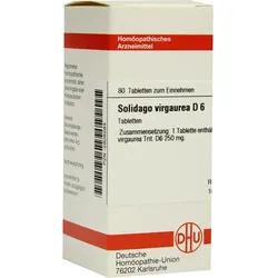 Solidago Virga D 6 80 ST
