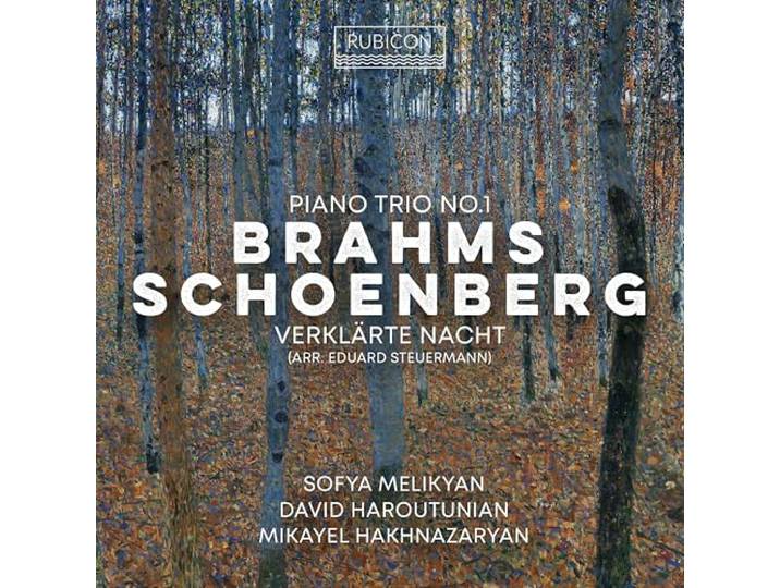 Brahms: Piano Trio No. 1/Schoenberg: Verklärte Nacht