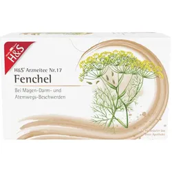 H&S Arzneitee Fenchel 20X2.2 g Filterbeutel