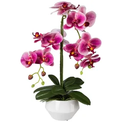 CREATIV green künstliche Pflanze Phalaenopsis in Keramiktopf, 52cm, fuchsia, Real Touch