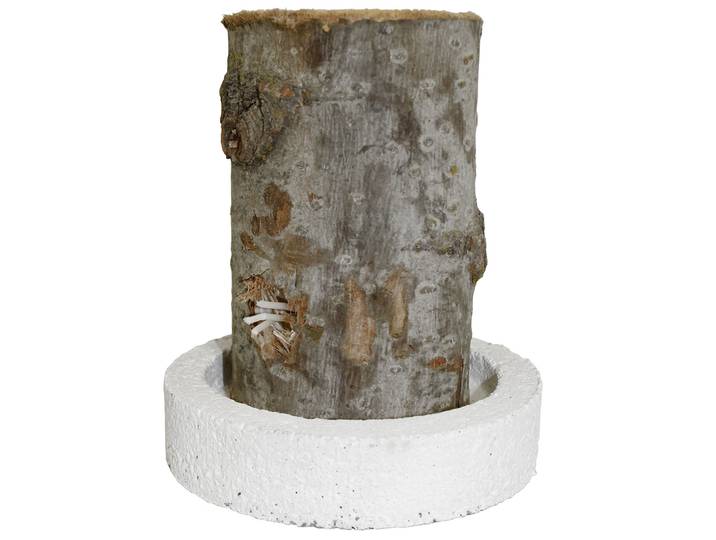 Schwedenfeuer mit Betonsockel, Finnenfackel - Baumfackel für den Garten, Ø 12 x 18 cm