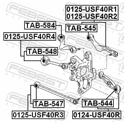 FEBEST Lagerung, Lenker TAB-544 Hinterachse unten für TOYOTA