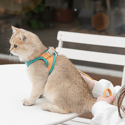 PetsAreLife Luminous Cat Vest Harness Green 3XL