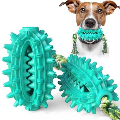 Everyday Crate Prickly Pear Dog Toothbrush Toy With Rope & Treat Dispensing Chew Design lake Blue