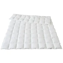 Traumina Plume Bio Daune Einziehdecke WK2 - 135x200cm