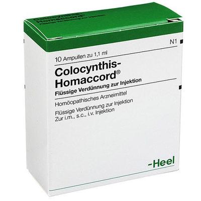 Colocynthis Homaccord Ampullen 10 St
