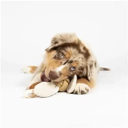 D&D Jule (Kauspielzeug Hund), Hundespielzeug