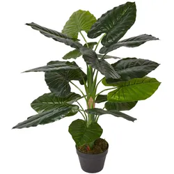 KUNSTPFLANZE Taro, 90 cm