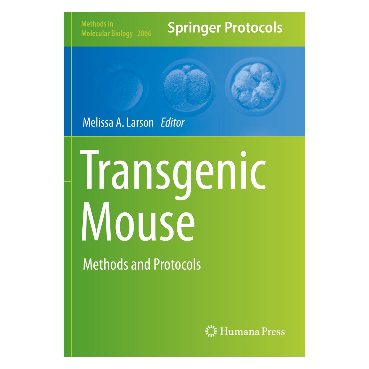 Springer Transgenic Mouse (Englisch, Softcover, Melissa A. Larson) (56161614)