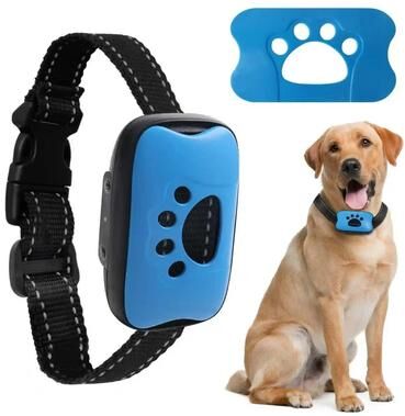 Inspired Finds QuietGuard Rechargeable Ultrasonic Anti Bark Training Collar blue