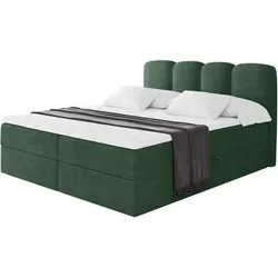 BOXBETT mit Matratze H3 - NINA - 160x200 cm Grün