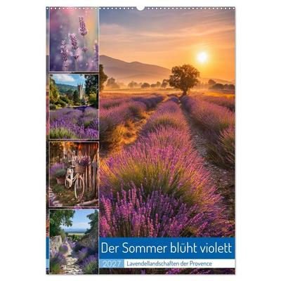 Der Sommer blüht violett (Wandkalender 2027 DIN A2 hoch), CALVENDO Monatskalender