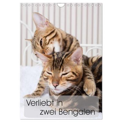 Verliebt in zwei Bengalen (Wandkalender 2027 DIN A4 hoch), CALVENDO Monatskalender