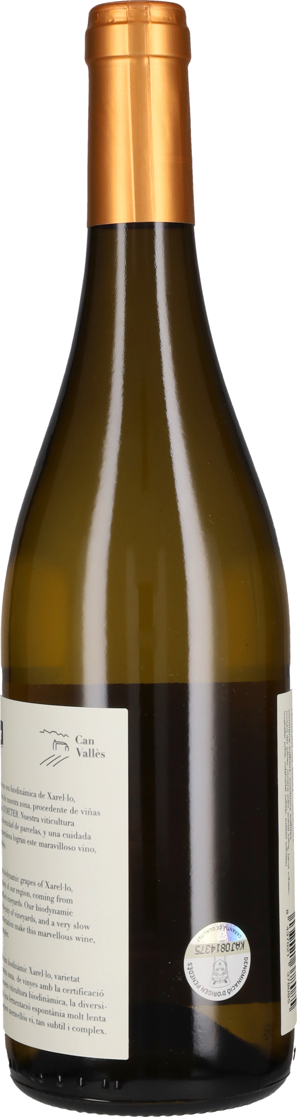 Xarel.lo Can Valles 2024