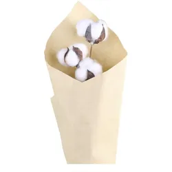 Chic Antique Fleur getrockneter Baumwollzweig, L60 cm, creme