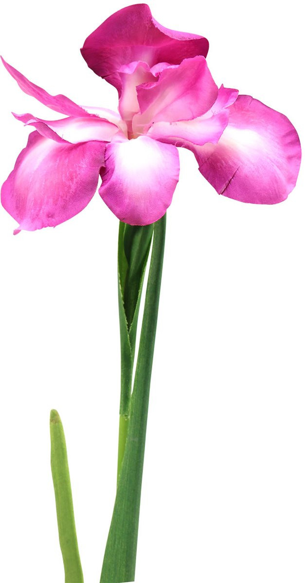 Viana Kunstmatige Iris Roze 78 cm