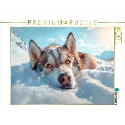 CALVENDO Puzzle Huskys Stärke und Anmut | 1000 Teile Lege-Größe 64x48cm Foto-Puzzle für glückliche Stunden