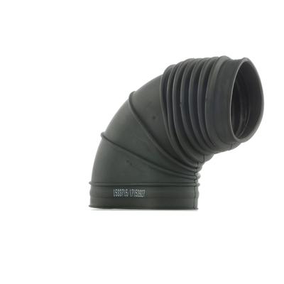 RIDEX Ansaugschlauch, Luftfilter BMW 1591I0074 13711707767