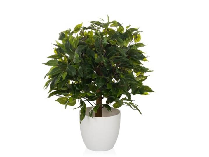 hjh OFFICE Kunstpflanze 65 cm FICUS II Deko Pflanze künstlich, Birkenfeige, pflegeleichter Kunstbaum