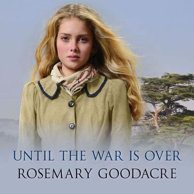 Until the War is Over - Rosemary Goodacre, Audio, 9781788894005
