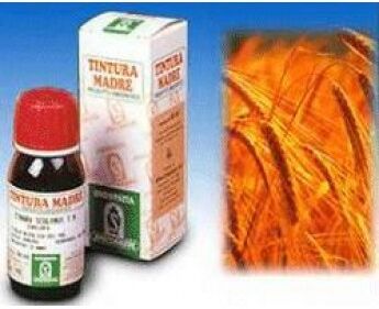 SPECCHIASOL Srl AVENA SATIVA 50ML TM  SPECCH.
