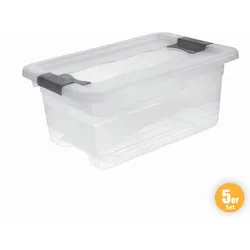 Ordnung Transportbehälter, Transparent - 5er-Set