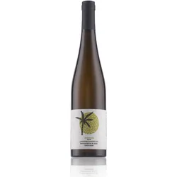 Weingut Hofmann Laurenzikapelle Sauvignon Blanc trocken 2016 13% Vol. 0,75l