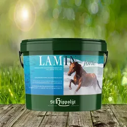 St. Hippolyt Lamin Forte 10 kg - Verbesserte Geweberegeneration und mehr Vitalität