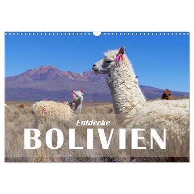 Entdecke Bolivien (Wandkalender 2027 DIN A3 quer), CALVENDO Monatskalender