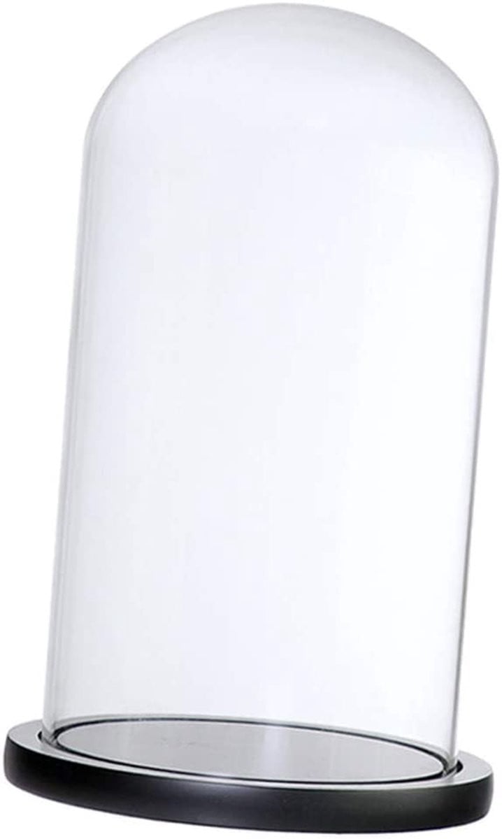 Glazen display cloche met houten basis - Decoratieve koepel voor planten en decoratie